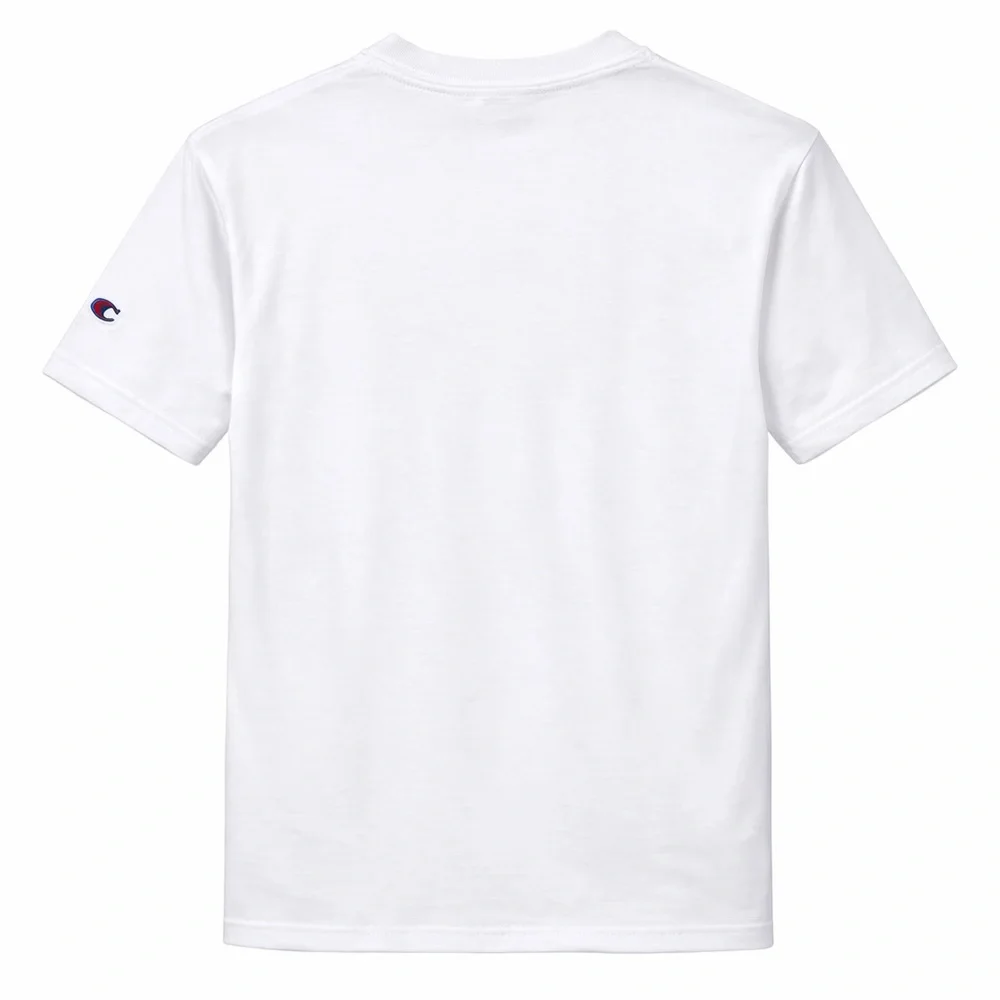 Champion 2023 NCAA Division III Women’s Tennis Championship T-Shirt Size L - Picture 2 of 7